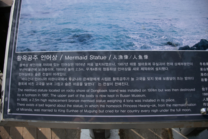 The Princess Hwangok Mermaid story.  Photo © by Laura Raymond.
