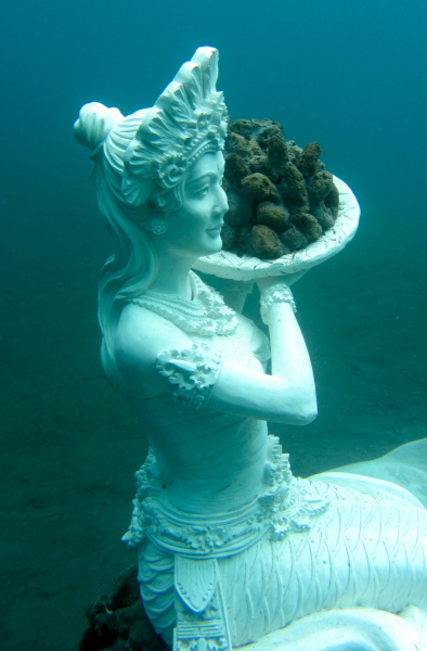 The Coral Reef Mermaid in Jemeluk Bay.  Photo © by Fiona Childs and Marine Foundation.