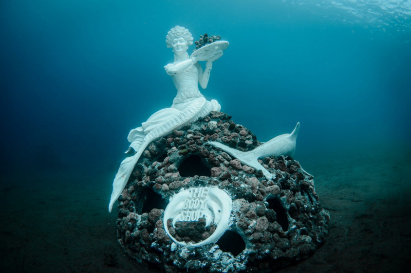 The Coral Reef Mermaid in Jemeluk Bay.  Photo © by Luca Vaime and Marine Foundation.