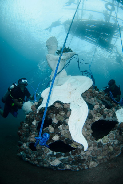 The Coral Reef Mermaid in Jemeluk Bay.  Photo © by Luca Vaime and Marine Foundation.