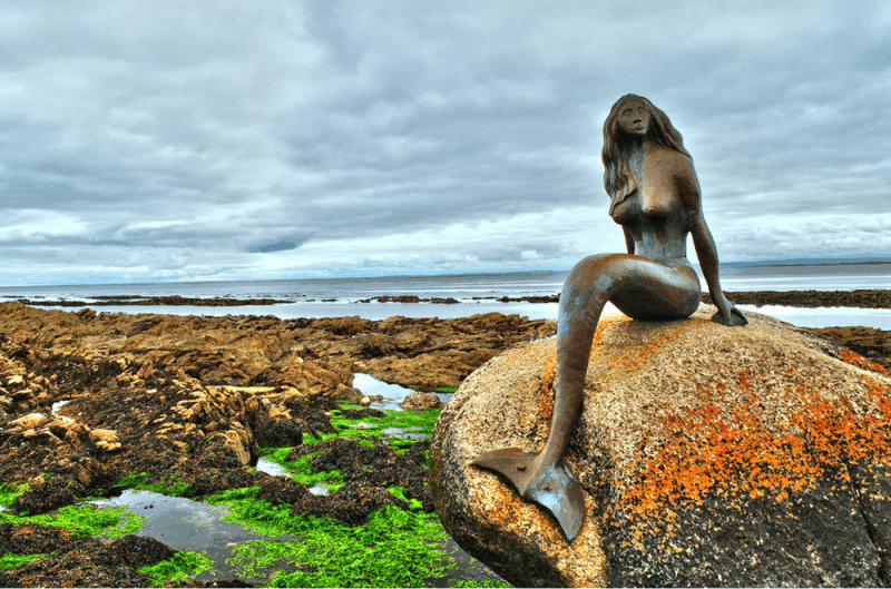 Mermaid of the North