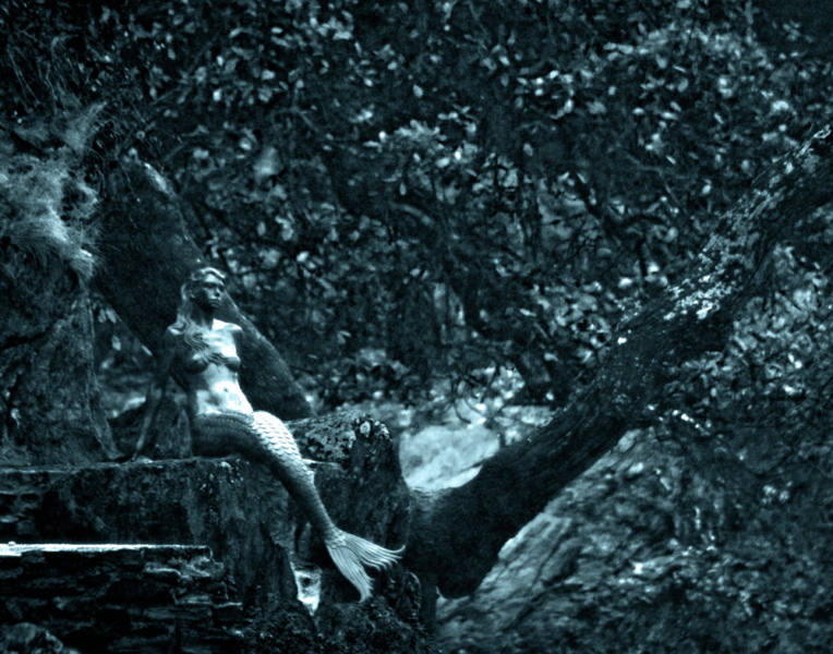 Dartmouth mermaid near Dartmouth Castle.  Photo by Mark Robinson.