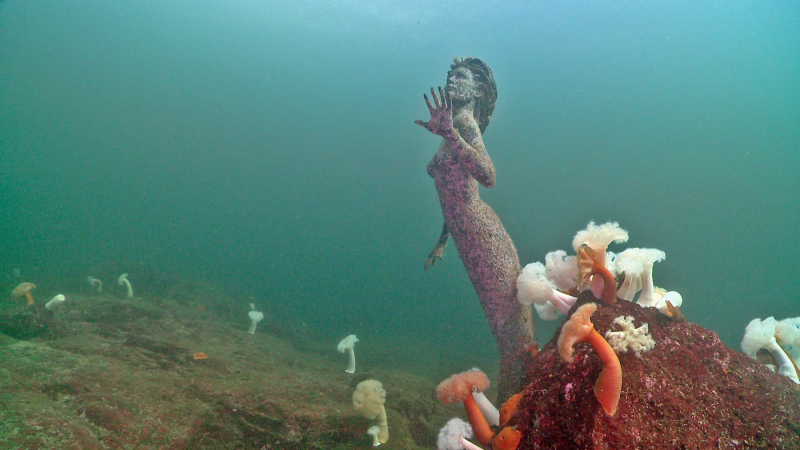 The Emerald Princess Mermaid in Saltery Bay. 
 Photo © by Neil McDaniel.