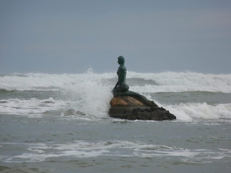 Mermaid at Esterillos Oeste.  Photo © Mauricio Fallas