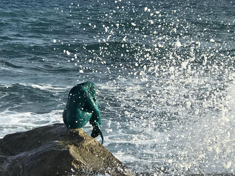 Ile Rousse mermaid.  Photo © by Gabriel Diana