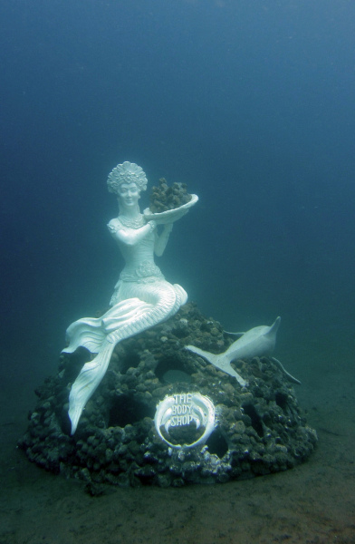 The Coral Reef Mermaid in Jemeluk Bay.  Photo © by Luca Vaime and Marine Foundation.