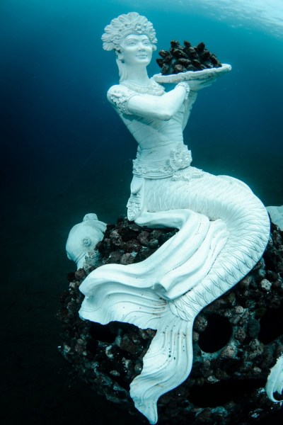 The Coral Reef Mermaid in Jemeluk Bay.  Photo © by Luca Vaime and Marine Foundation.