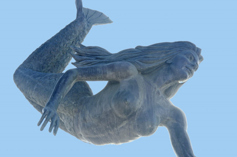Sirena y Dolfine in La Paz.   Photo © by Eduardo Ysla.