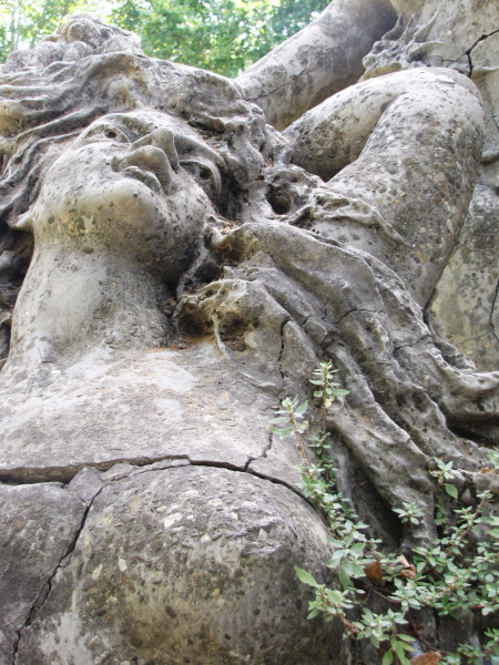 Montagnola Mermaids.  Photo © Michele Fini