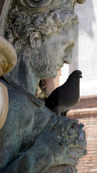 Neptune Fountain in Bologna, with four mermaid statues.  Photo © by Michele Fini.