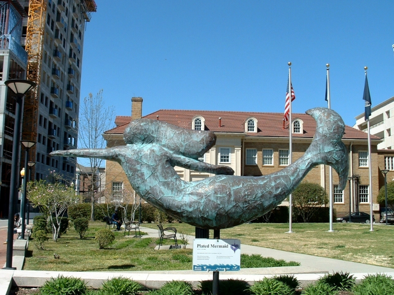 Norfolk Mermaid.  Photo © by Kevin Girard.