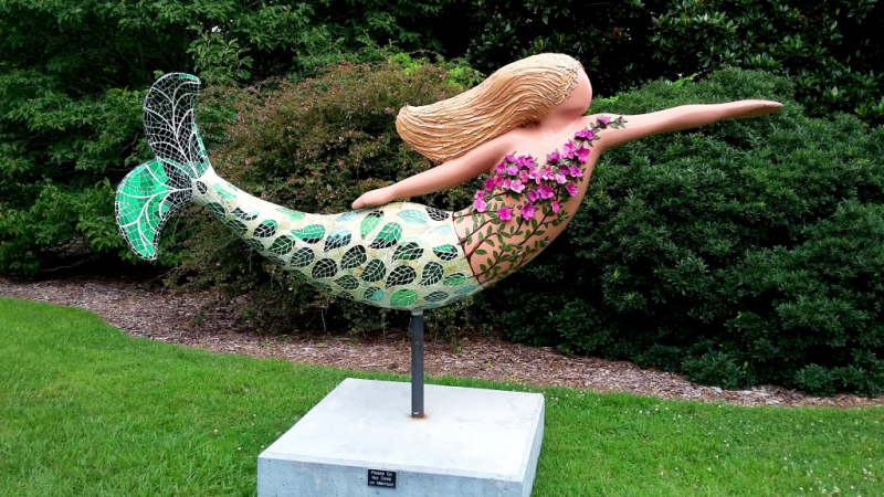 Norfolk Mermaid.  Photo © by Kevin Girard.