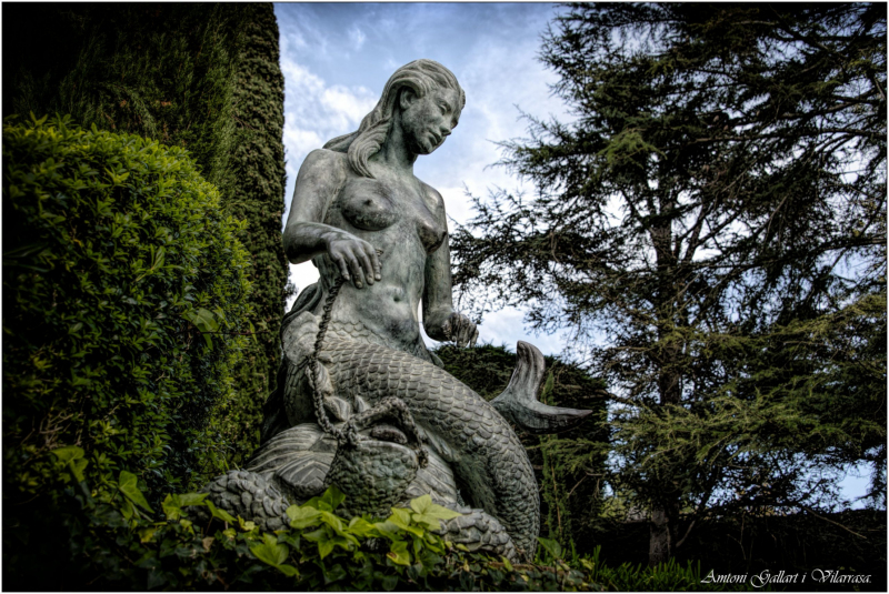 On of the 5 Santa Clotilde Mermaids.  Photo © by Antoni Gallart Vilarrasa.