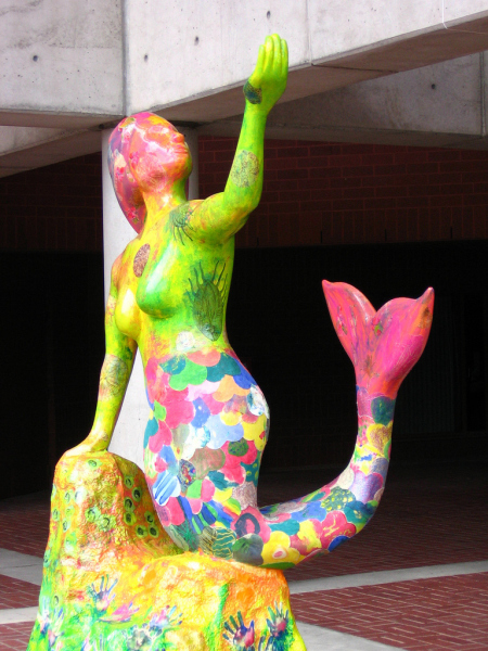 A St. Johns Mermaid.  Photo © by Heather Patey.