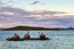 Daydream Island Mermaid Statues