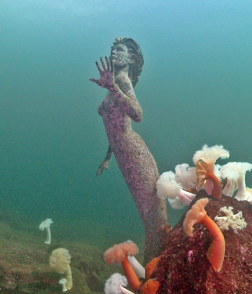 The Emerald Princess Mermaid in Saltery Bay