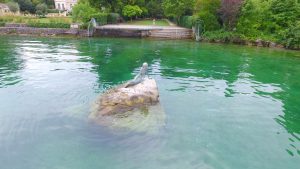 Mermaid Statue on Lake Geneva
