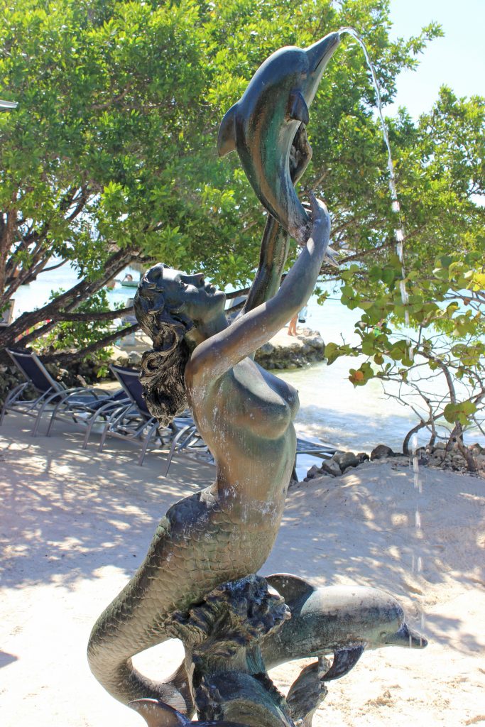 Little French Key Mermaid in Honduras