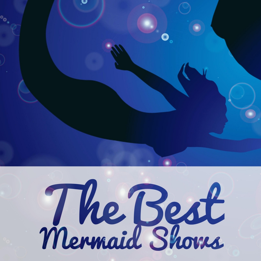 The Best Mermaid Shows
